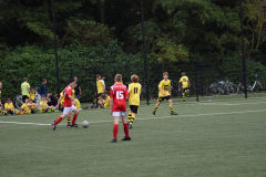 220827_SIMIKOSTORNOOI_0101