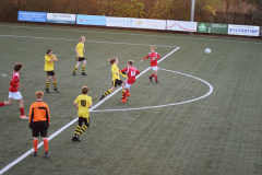 ILN_0045