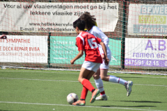 ILN_0185