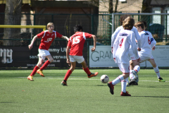 ILN_0189