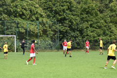ILN_0011