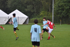 ILN_0029