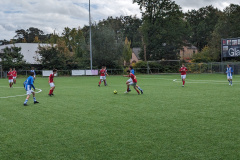 PXL_20231021_120413073