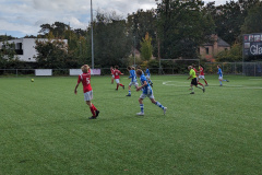 PXL_20231021_120741051