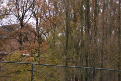 ILN_0112