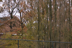 ILN_0113