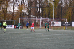 ILN_0135
