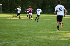 ILN_0053