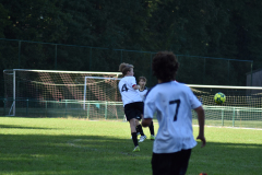ILN_0066