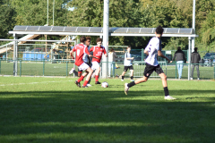 ILN_0083