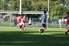 ILN_0084