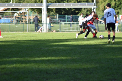 ILN_0085