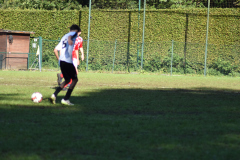 ILN_0087