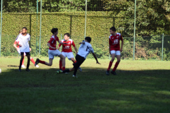 ILN_0088