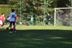 ILN_0095