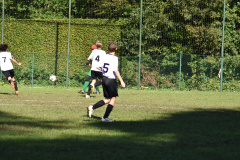 ILN_0120