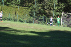 ILN_0124