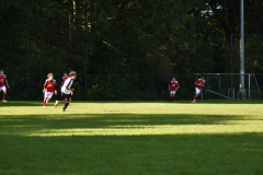 ILN_0127