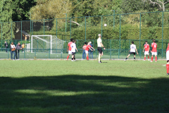 ILN_0129