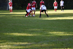 ILN_0131