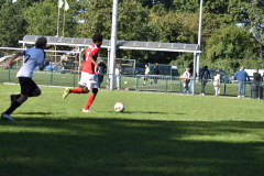 ILN_0133