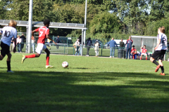 ILN_0134