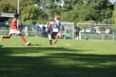 ILN_0135