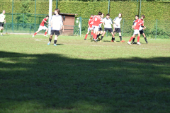 ILN_0137