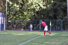ILN_0141