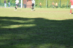 ILN_0145