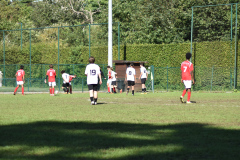 ILN_0147