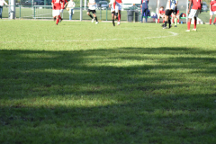 ILN_0148