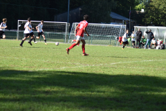 ILN_0154