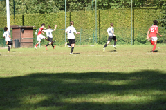 ILN_0172