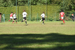 ILN_0173