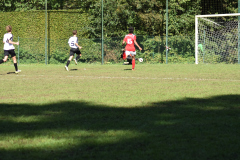 ILN_0175