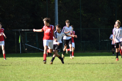 ILN_0181