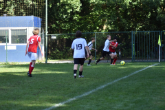 ILN_0183