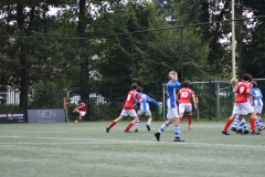 ILN_0031