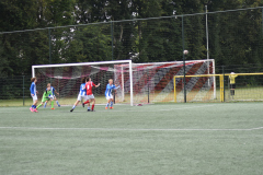 ILN_0133