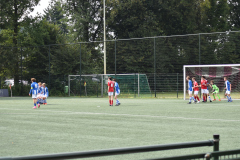 ILN_0146