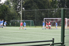 ILN_0148