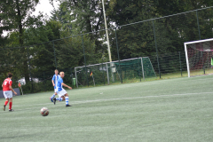 ILN_0154
