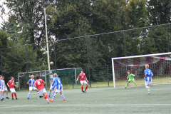 ILN_0157