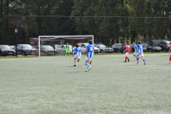 ILN_0217