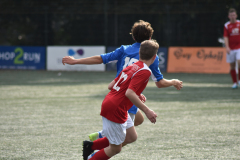 ILN_0229