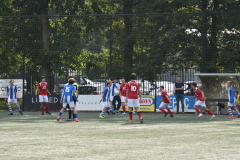 ILN_0245