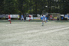 ILN_0257