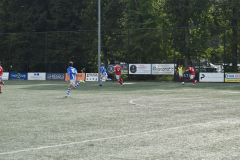 ILN_0259