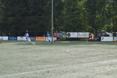 ILN_0260